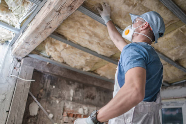 Best Eco-Friendly Insulation in Massapequa, NY